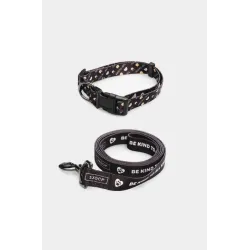 Dog Leash and Collar